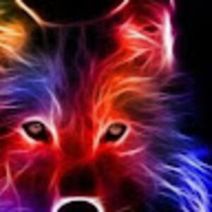 Meet your Posher, Breanna